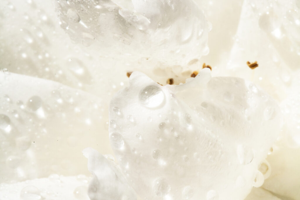 christian arndt heilpraktiker