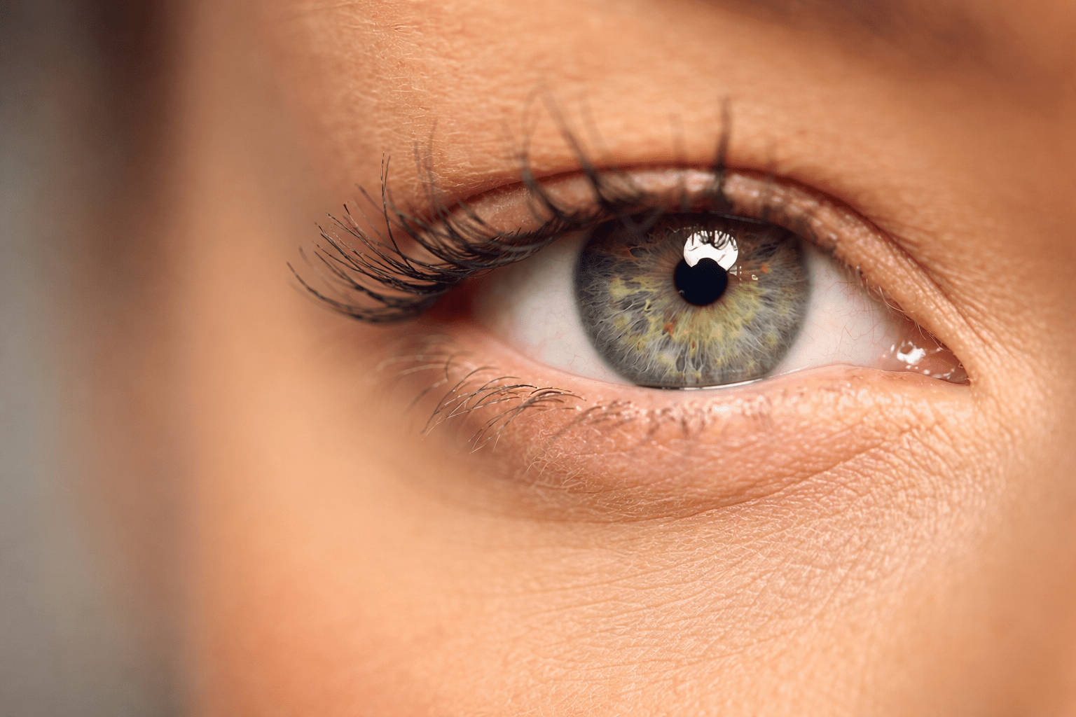 Heilpraktiker Christian Arndt Iridology