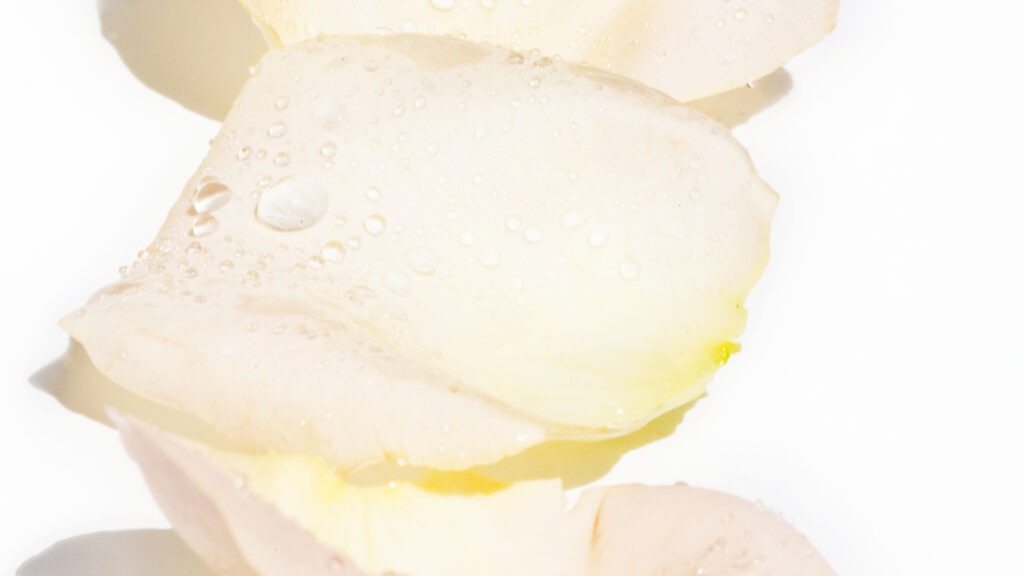 Heilpraktiker Christian Arndt