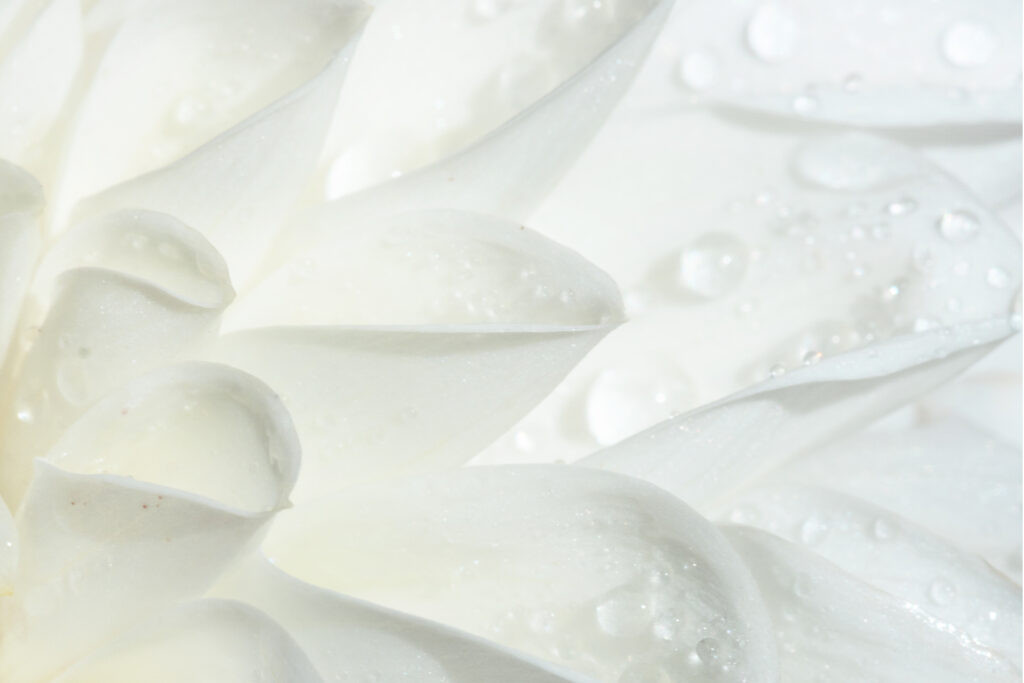 Heilung christian arndt heilpraktiker